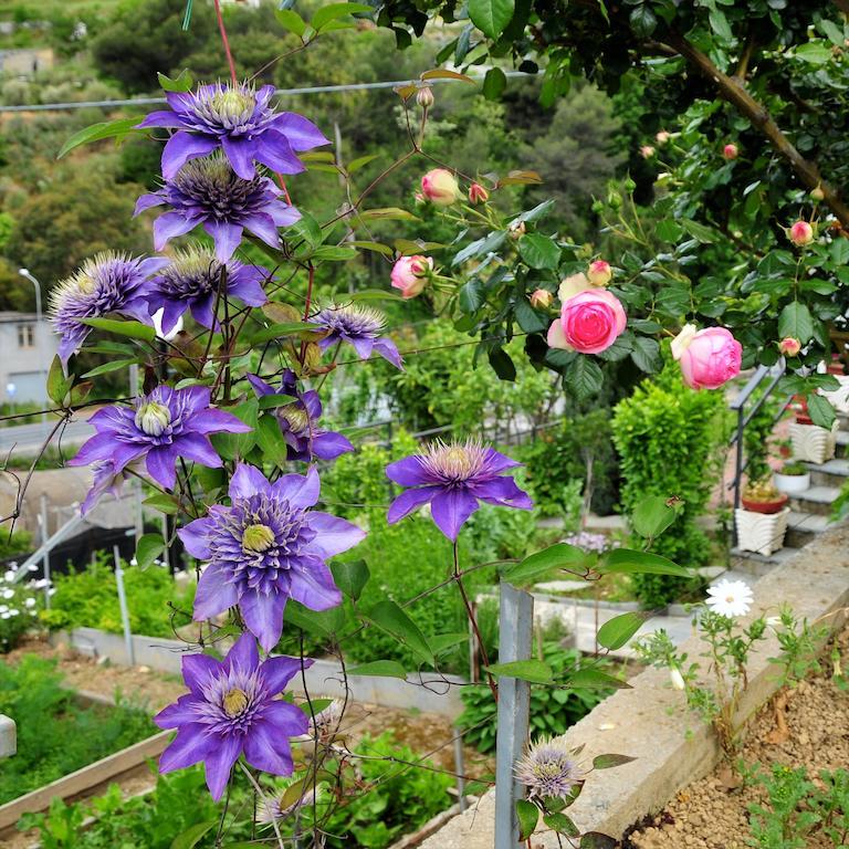 San Biagio della Cima Le Rose 빌라 외부 사진