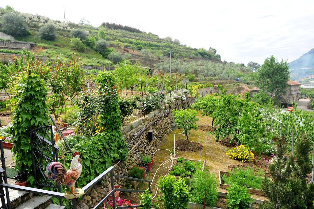 San Biagio della Cima Le Rose 빌라 외부 사진