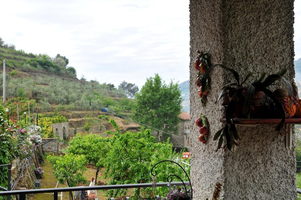 San Biagio della Cima Le Rose 빌라 외부 사진